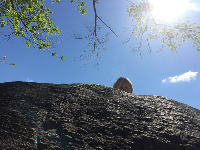 Peeking over a rock