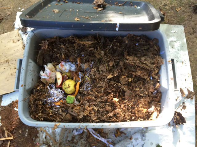 How To Make a Simple Worm Bin - Gardens That Matter