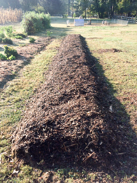 Sheet mulching tutorial - the finished bed!