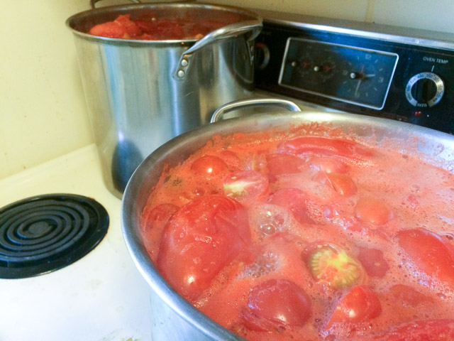 Tomato Sauce for freezer meals
