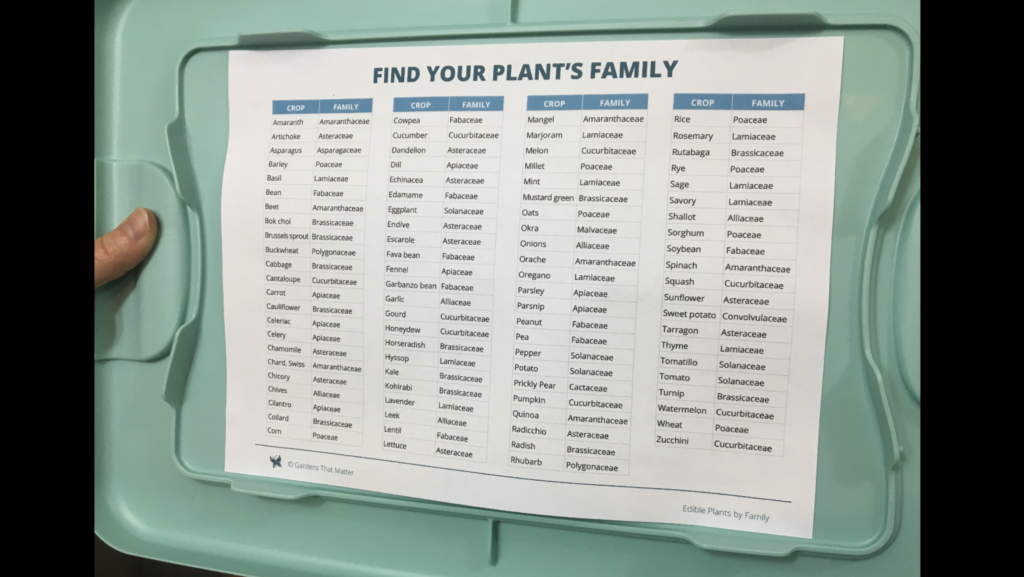 Click to download this printable reference for storing seeds by plant family.